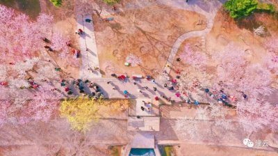 ​刚刚，桃花节时间定了！