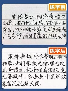 ​三天学会一手好硬笔字