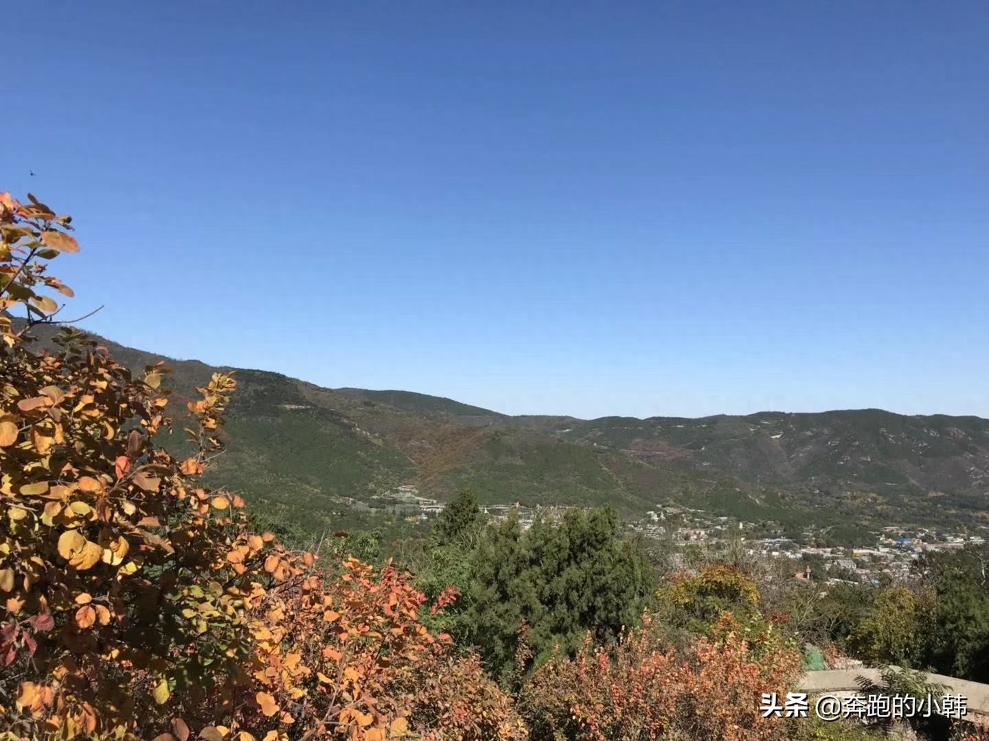 情侣不宜爬香山？什么时候赏红叶最好？等11月初吧