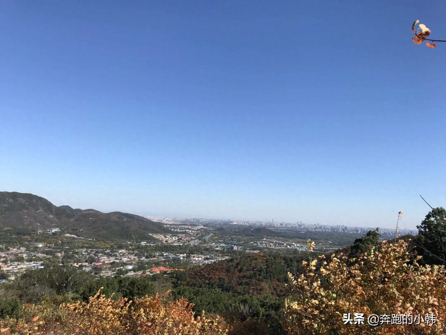 情侣不宜爬香山？什么时候赏红叶最好？等11月初吧