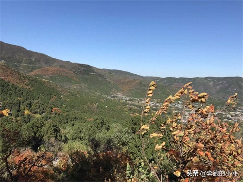 情侣不宜爬香山？什么时候赏红叶最好？等11月初吧