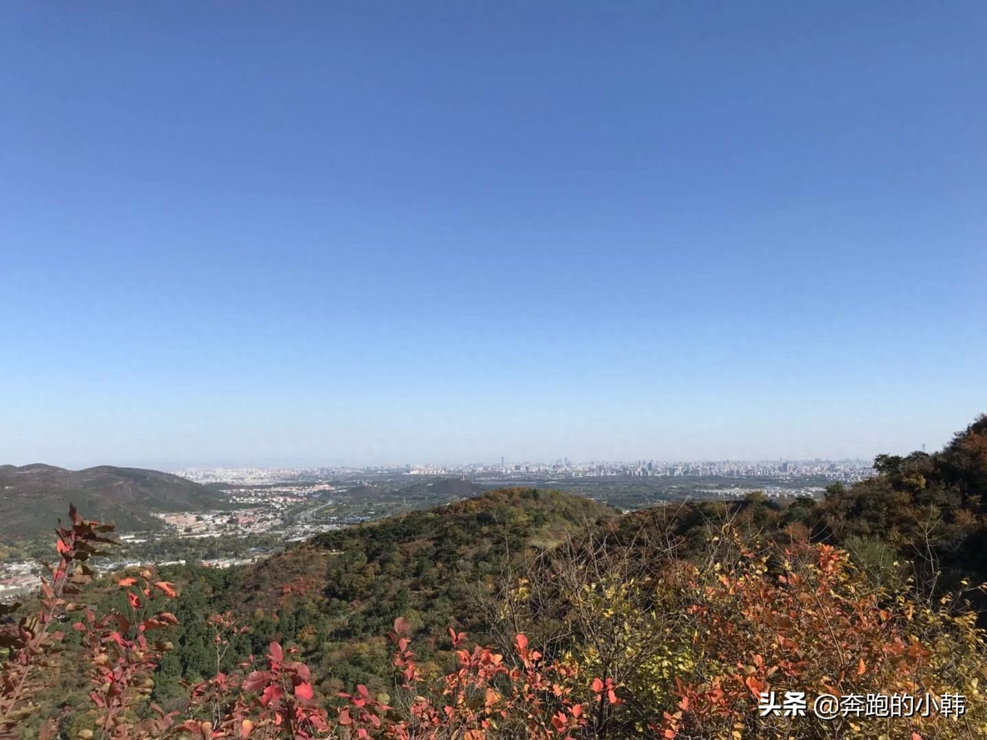 情侣不宜爬香山？什么时候赏红叶最好？等11月初吧