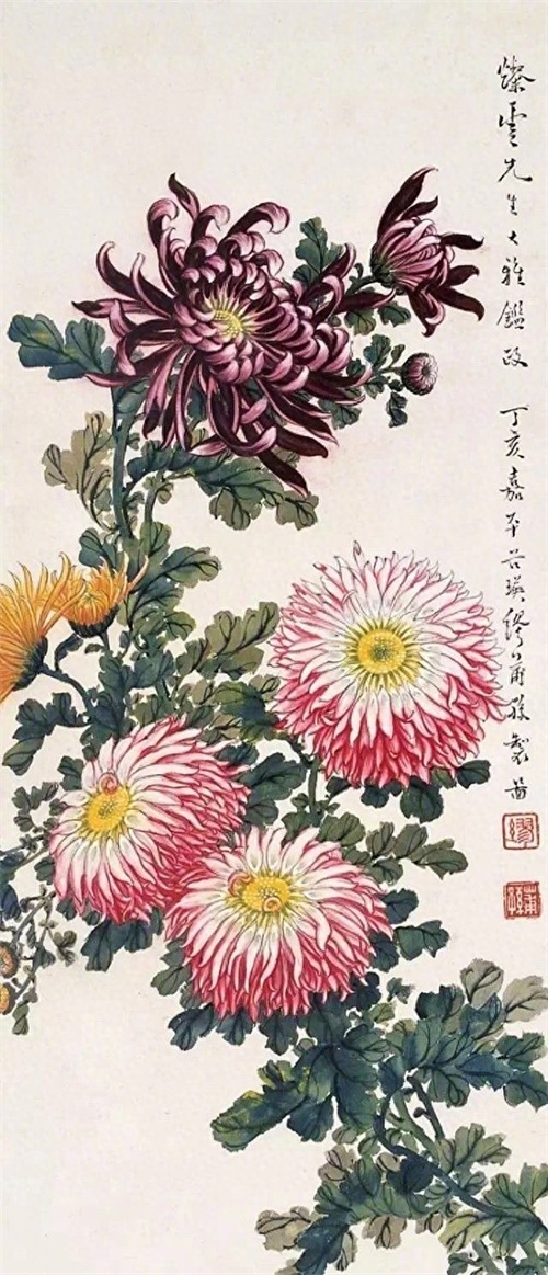 秋日画菊正当时，看看 海上三菊 的菊花 棒！！精美国画图赏