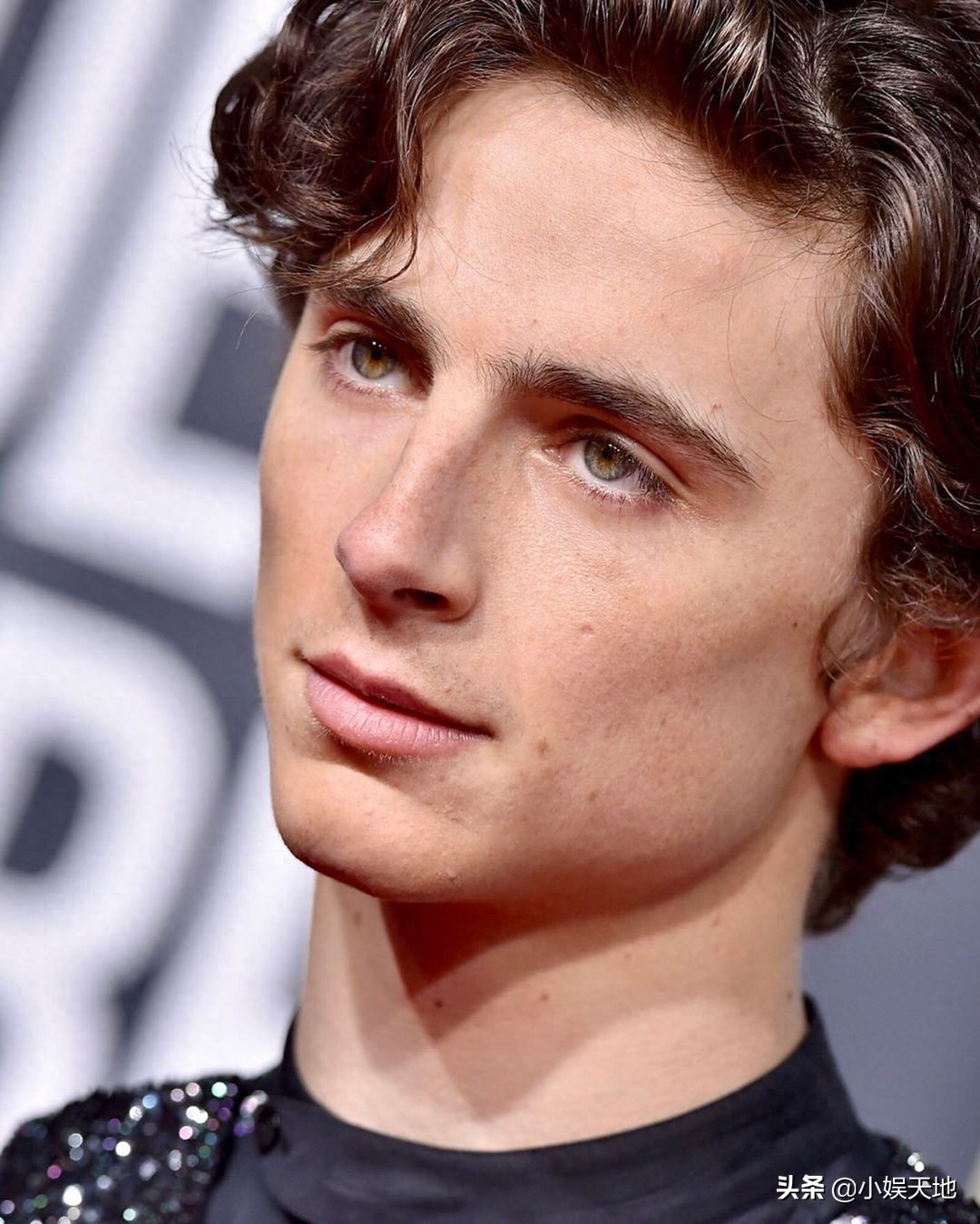 甜茶金球奖回忆照，以黑色造型亮相红毯，五官深邃的甜茶很帅气