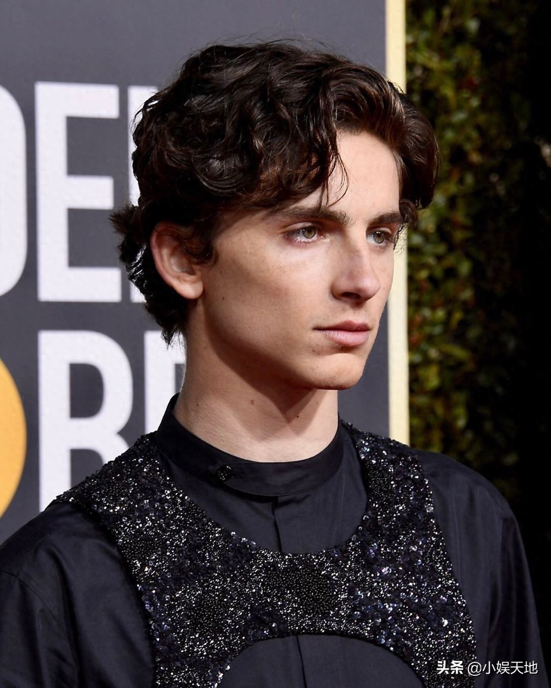 甜茶金球奖回忆照，以黑色造型亮相红毯，五官深邃的甜茶很帅气