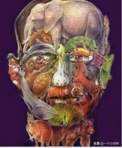 ​考眼力的6张图，快来测测吧！